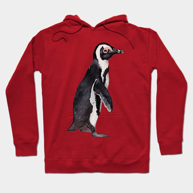 African Penguin Hoodie by IndiasIllustrations